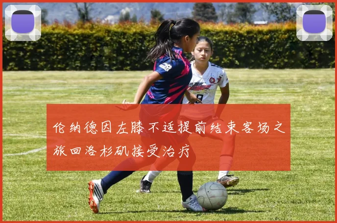 伦纳德因左膝不适提前结束客场之旅回洛杉矶接受治疗