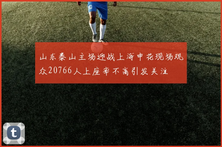 山东泰山主场迎战上海申花现场观众20766人上座率不高引发关注
